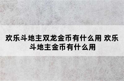 欢乐斗地主双龙金币有什么用 欢乐斗地主金币有什么用